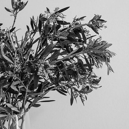 Sea View Casa Apartment Naxos City Bagian luar foto