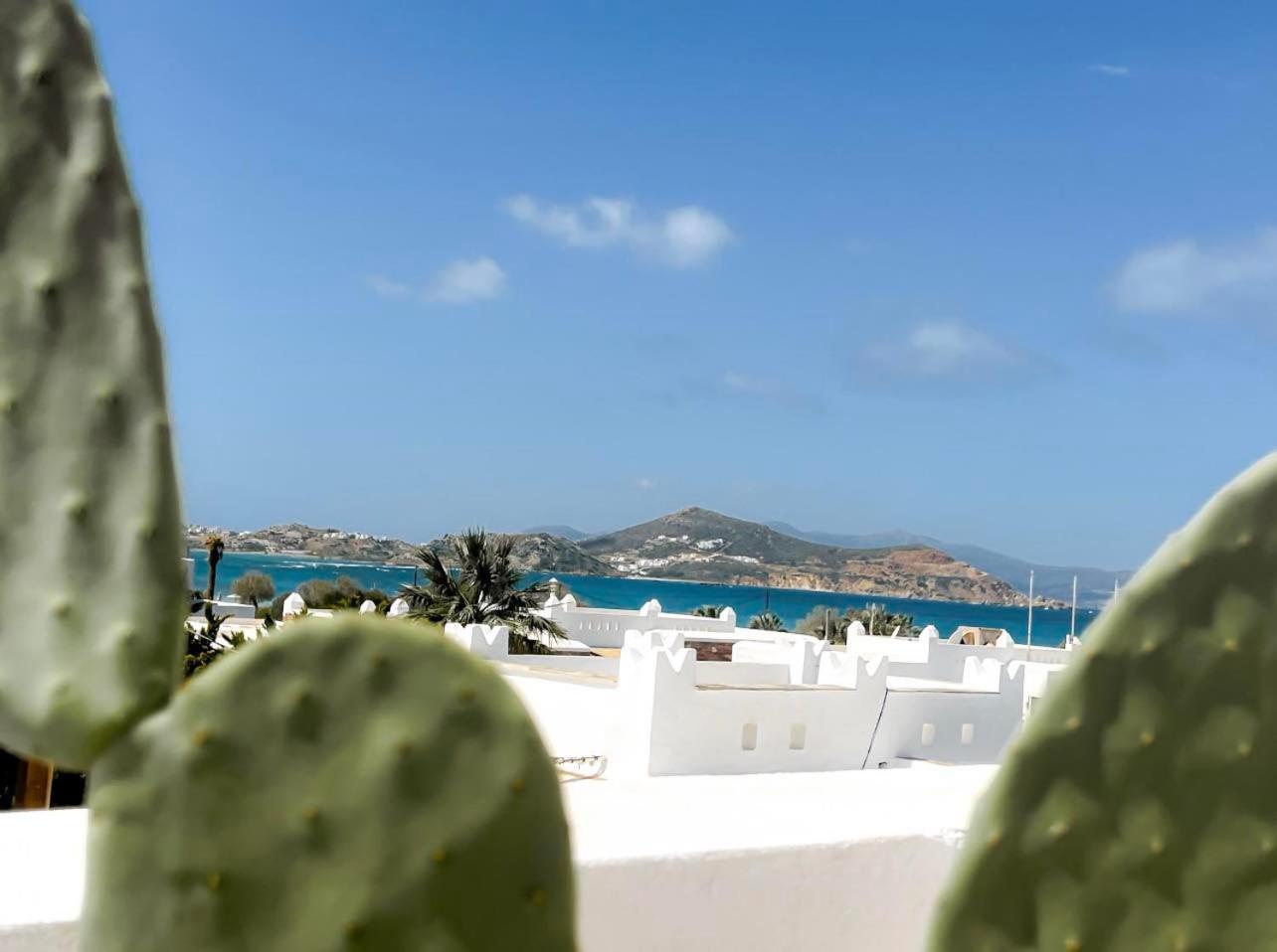 Sea View Casa Apartment Naxos City Bagian luar foto